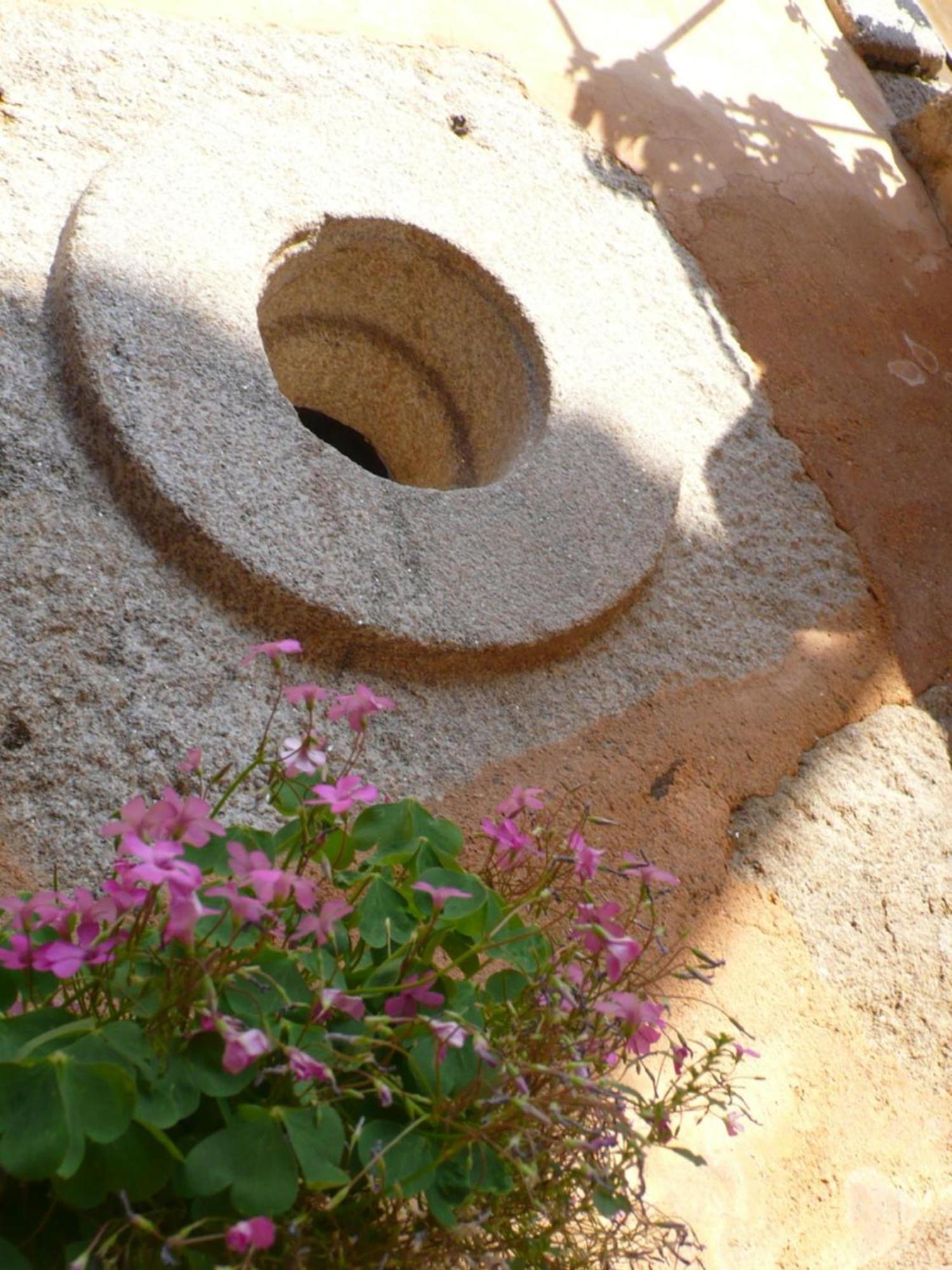 Casa Da Ti Cura Pension Atenor Buitenkant foto