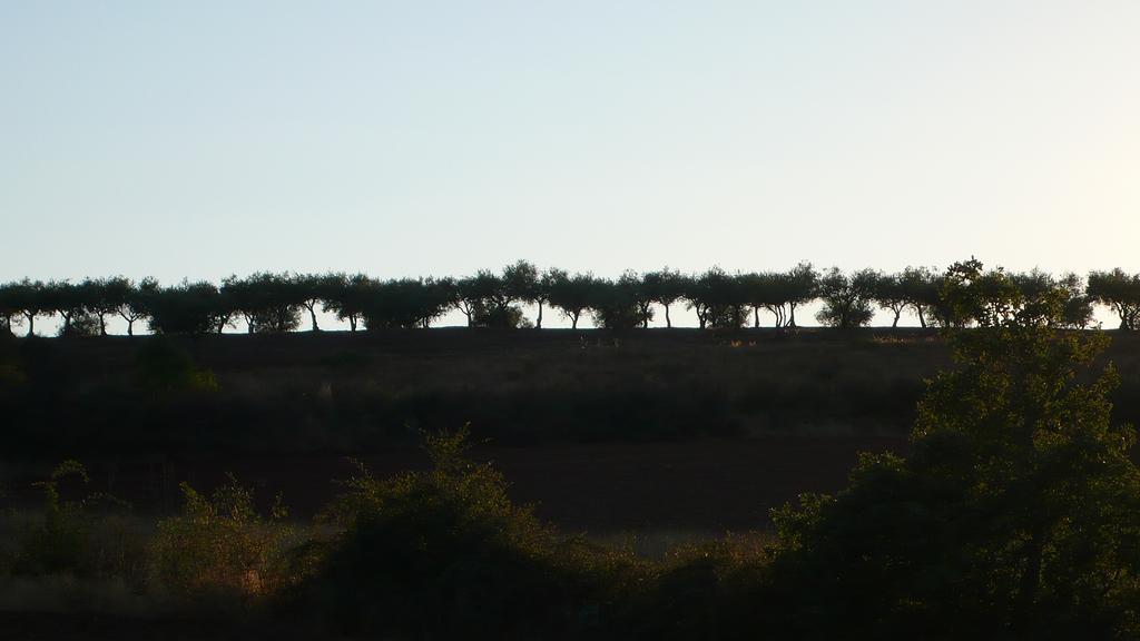 Casa Da Ti Cura Pension Atenor Buitenkant foto