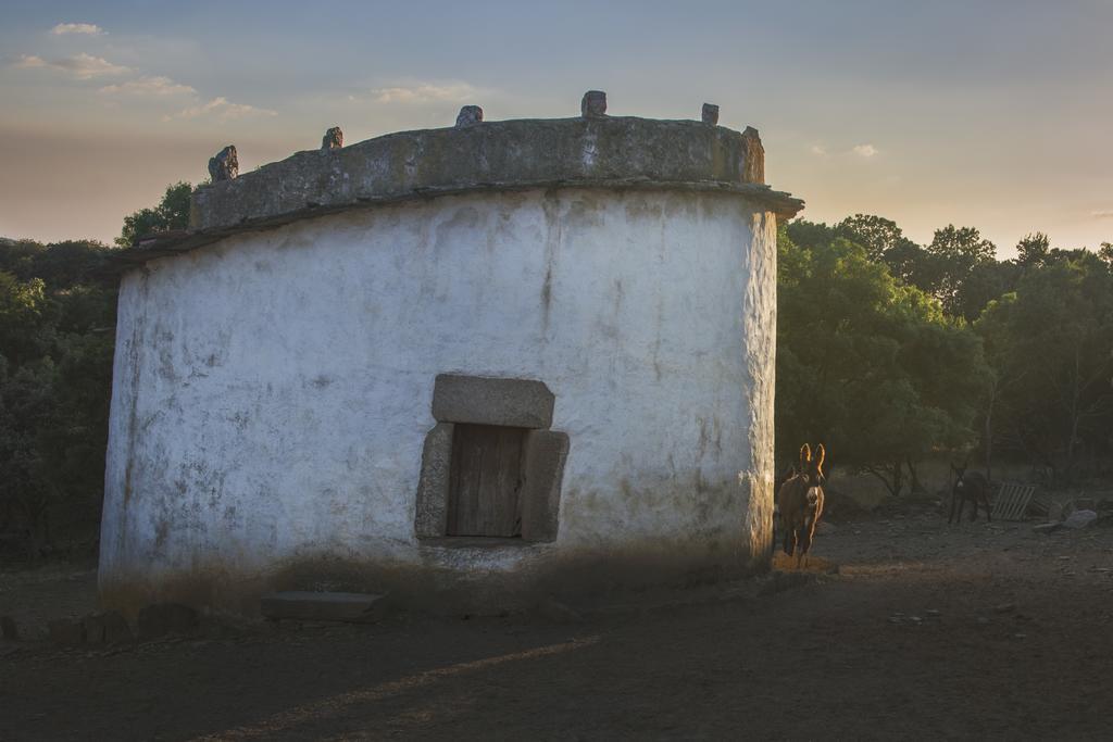 Casa Da Ti Cura Pension Atenor Buitenkant foto